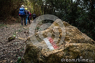 Livorno Rosignano trekking, Tuscany - Italy Editorial Stock Photo