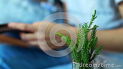 Livre de lecture visuel de main avec la plante verte dans le premier plan Le résumé détendent et éducation clips vidéos Livre de lecture visuel de main avec la plante verte dans le premier plan Le résumé détendent et éducation clips vidéos