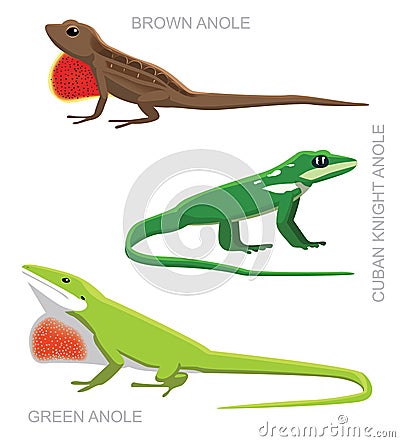 Lizard Anole Set Cartoon Vector Illustration Vector Illustration