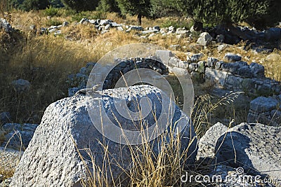 Lizard basking in the sun on stone on ruins of Xanthos Ancient City, Nature of Turkey Stock Photo