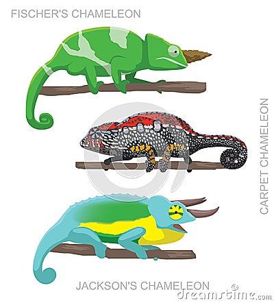 Lizard Chameleon Set Cartoon Vector Illustration Vector Illustration