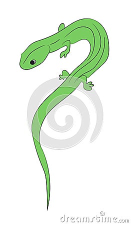 Lizard color vector Vector Illustration