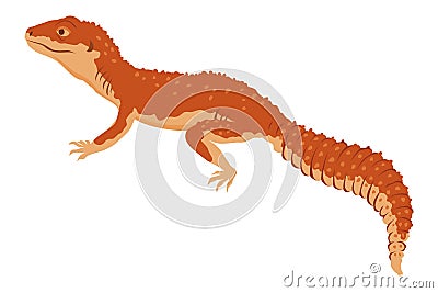 Lizard icon. Tropical colorful decorative amphibian. Fauna character in wildlife or zoo. Wildlife colorful creature Vector Illustration