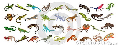 Lizard icons set cartoon . Chameleon gecko Stock Photo