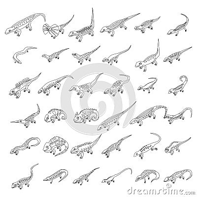 Lizard icons set vector outline Vector Illustration