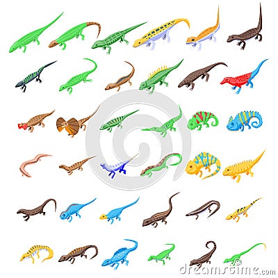 Lizard icons set, isometric style Vector Illustration