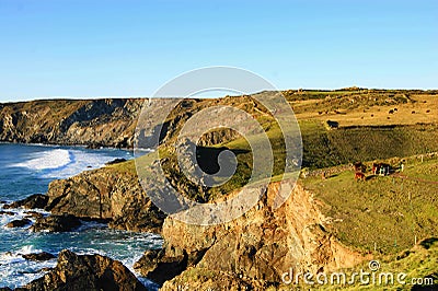 Lizard point , Southwest Coastal Path, Cornwall, uk Stock Photo