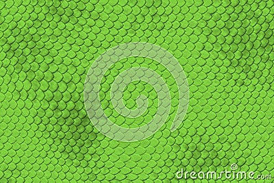 Lizard Skin Pattern Stock Photo