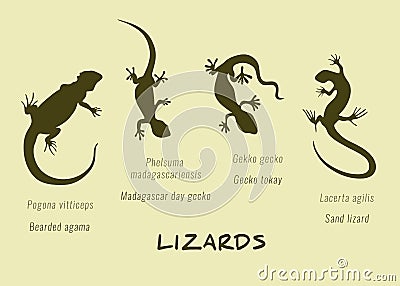 Vector set of isolated silhouettes of lizards illustration Vector Illustration