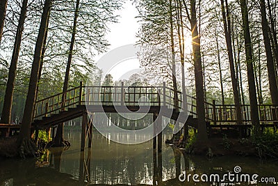 Lizhongshuishang forest or Li Zhong water forest is the natural ecological oxygen bar, is a good place for urban p Stock Photo