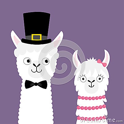 Llama alpaca animal set. Love couple. Happy Valentines Day. Girl Boy. Black hat. Face neck. Fluffy hair fur. Cute cartoon funny Vector Illustration