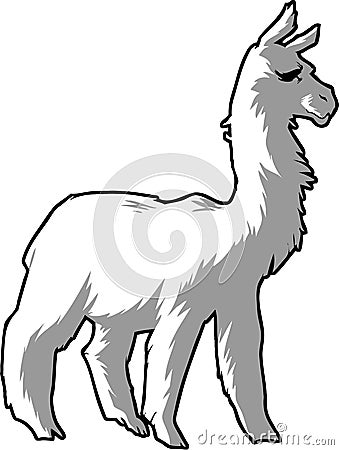 Llama, alpaca. Vector Illustration