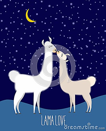 Llama Alpaca. Two cute llama Kiss at night under the starlit sky Vector Illustration