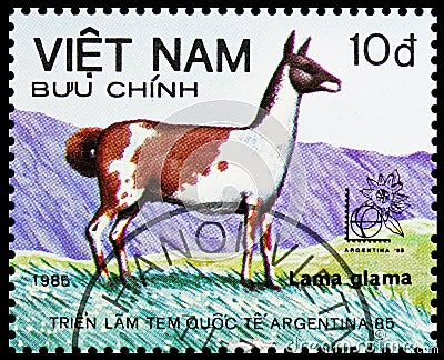 Llama (Lama glama), International Stamp Exhibition Argentina `85, Buenos Aires serie, circa 1985 Editorial Stock Photo