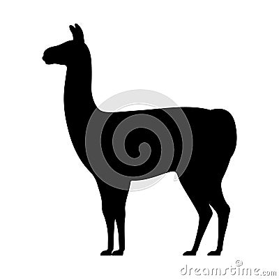 Llama silhouette isolated on white Vector Illustration