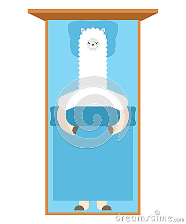 Llama Sleeping in bed. Lama Cute animal alpaca. cartoon vector Vector Illustration