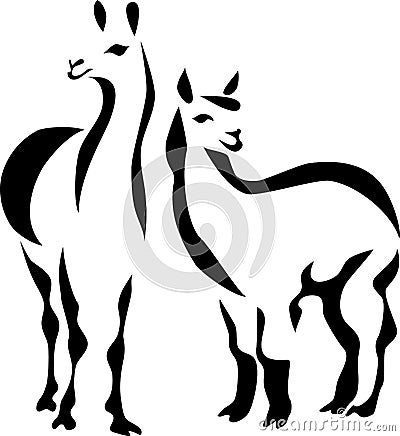 Llama Vector Illustration