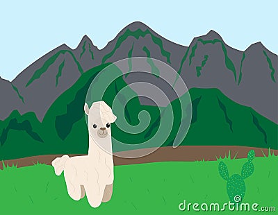 Llama vector animal nature mountains postcard poster Stock Photo