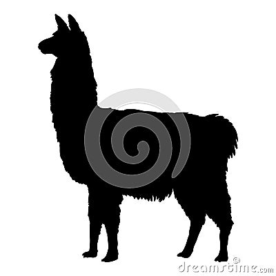 Llama vector illustration black silhouette Vector Illustration