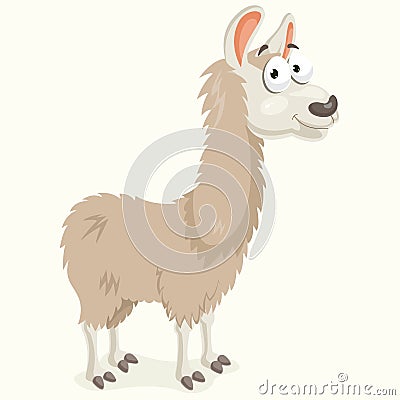 Llama Vector Illustration Vector Illustration