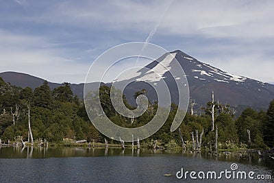 Llama volcano in Conguillio park Stock Photo