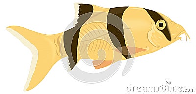 loach fish vector illustration transparent background Cartoon Illustration