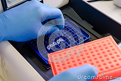 Loading a DNA tube into a PCR polymerase chain reaction thermocycler machine in a bioscience laboratory. Concept of science, Stock Photo