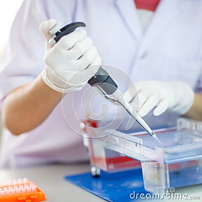 Loading samples into gel for electrophoresis Stock Photo