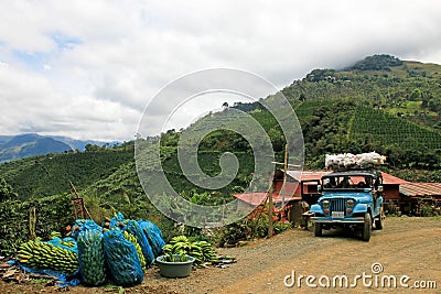 Loading truck with bananas for transporting, near El Jardin Antioquia, Colombia Editorial Stock Photo
