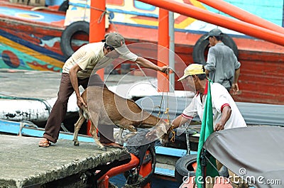 Loading/unloading Editorial Stock Photo