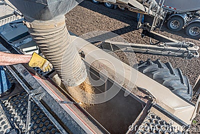 Loading wheat seed from semi into the air drill for seeding in Saskatchewan, Canada Stock Photo