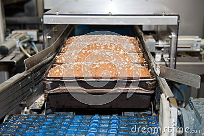 Loafs of bread in the factory Stock Photo