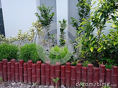 Loan preparation in house with different plant views Stock Photo