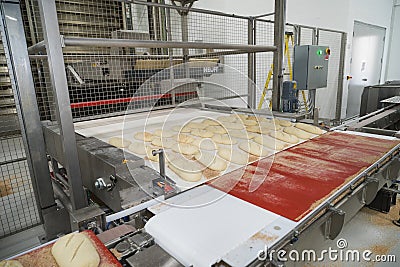 Loaves of unbaked sourdough bread on a conveyor Stock Photo