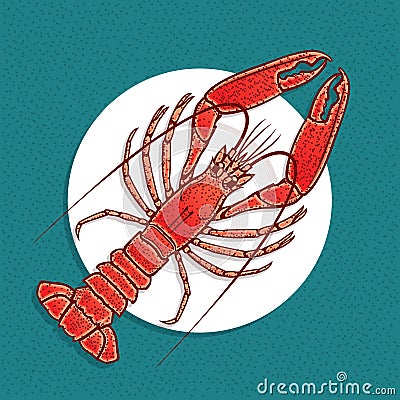 Lobster or crayfish vector illustration in vintage style. Vector Illustration