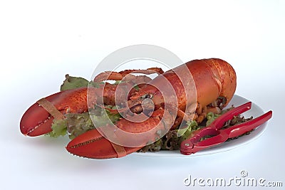 Lobster dinner Stock Photo