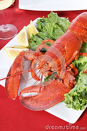 Lobster Dinner Stock Photo