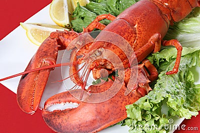 Lobster Dinner Stock Photo