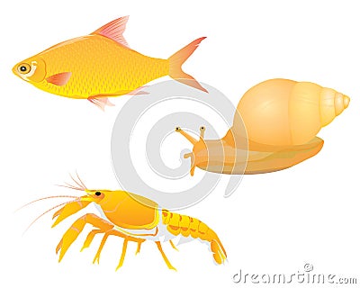 Lobster fish snail Vector Illustration