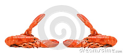 Lobster isolated / Steamed lobster seafood on white background Stock Photo