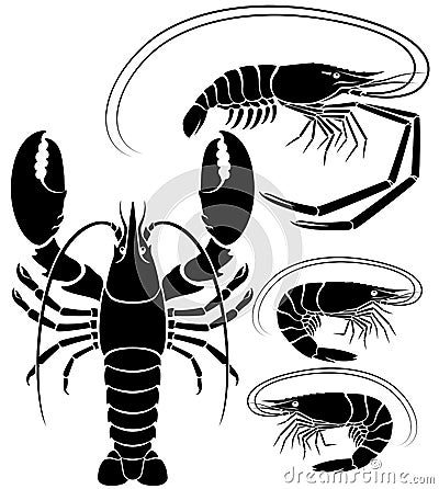 Lobster shrimp and prawn. Vector Illustrations. Vector Illustration