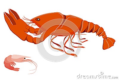 Lobster and shrimp Vector Illustration