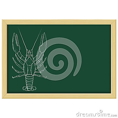 Lobster sketch. Chalk on green blackboard Vector Illustration