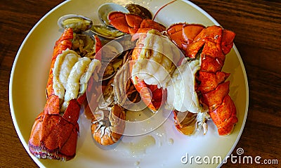 Lobster on white dish at buffet restaurant Stock Photo