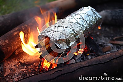 lobster wrapped in foil cooking in campfire embers Stock Photo