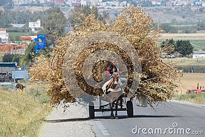 A local farmer and his donkey on a road in Morocco. Editorial Stock Photo