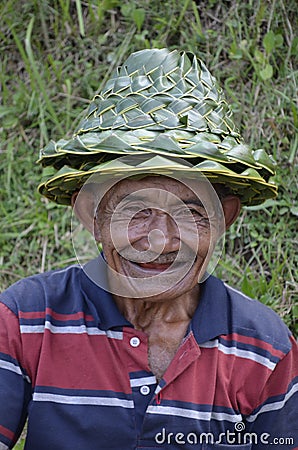 Local farmer in Rice Terrace in Bali Asia Indonesia Editorial Stock Photo