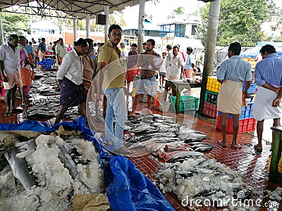 Local fish market in small remote village in Kerala. Editorial Stock Photo