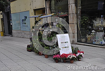 Oviedo, 18th april: Flowers Shop from Downtown of Oviedo City in Spain Editorial Stock Photo