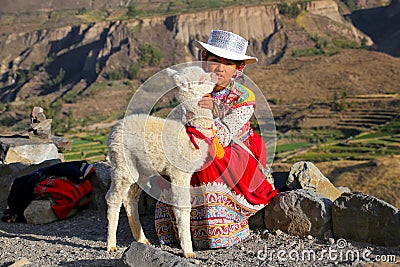 Local girl with baby llama sitting at Colca Canyon in Peru Editorial Stock Photo